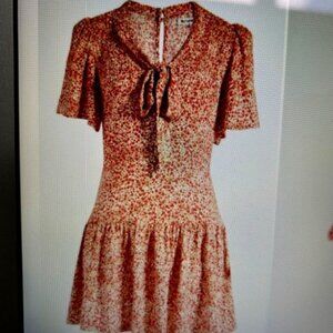 Reformation Adelina Floral La Vie En Rose V-Neck Minidress